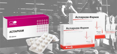 Аспаркам в бодибилдинге