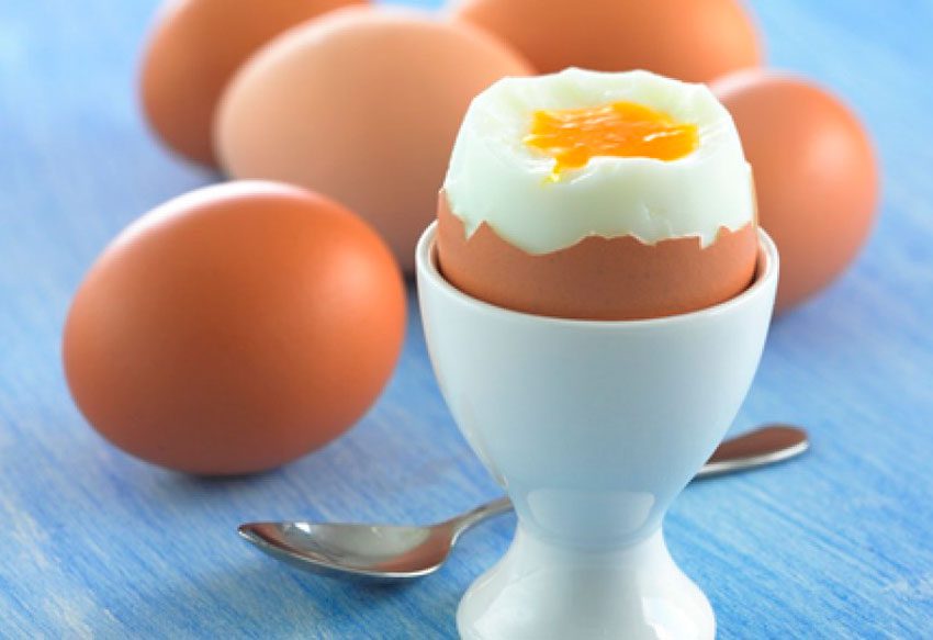 Похудеть На Одних Яйцах