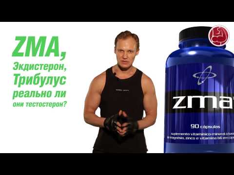 ZMA, Экдистерон, Трибулус реально ли они тестостерон?