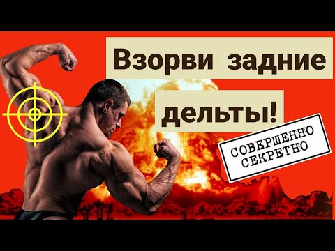 Самые эффективные упражнения для задних дельт.