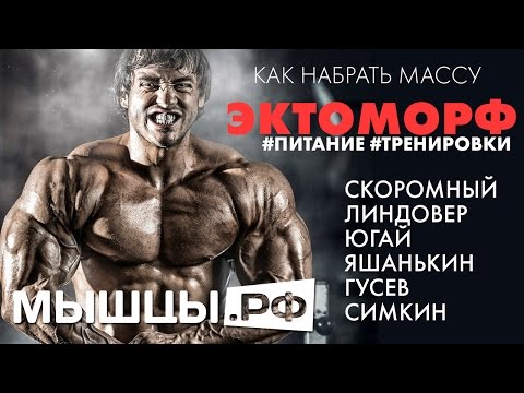 Эктоморф: как набрать массу? Скоромный, Линдовер, Гусев и др.