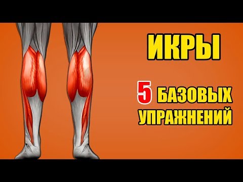 ИКРЫ. 5 базовых упражнений. Техника / Биомеханика - Икроножные мышцы