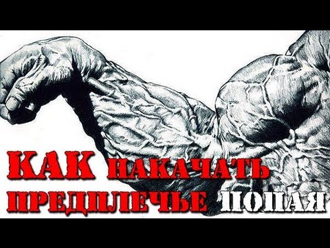 КАК НАКАЧАТЬ ПРЕДПЛЕЧЬЯ ПОПАЯ?