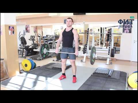 Шраги со штангой стоя: упражнение для мышц трапеции (техника выполнения)