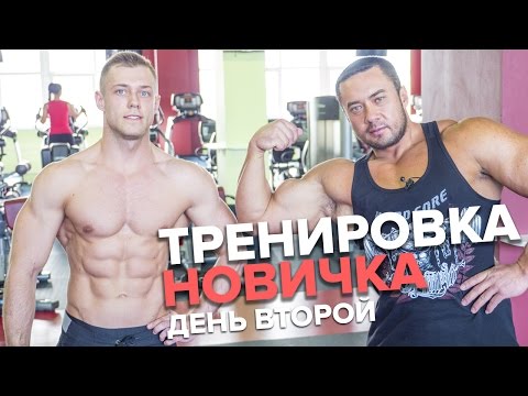 Тренировка для новичка: Спина и Бицепс (День 2). Сергей Югай