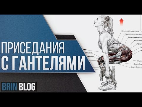 Приседания с гантелями / Техника выполнения / Ярослав Брин / Squats with dumbbells / Как приседать