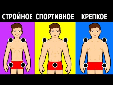 Тест: Какой у вас тип Телосложения