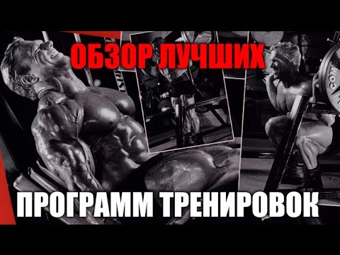 ОБЗОР ЛУЧШИХ ПРОГРАММ ТРЕНИРОВОК