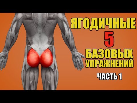 ЯГОДИЧНЫЕ МЫШЦЫ. 5 БАЗОВЫХ УПРАЖНЕНИЙ + ОШИБКИ УБИВАЮЩИЕ ПРОГРЕСС / ЧАСТЬ 1