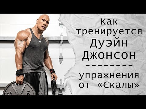 Как тренируется Дуэйн Джонсон (упражнения и мотивация от «Скалы»)