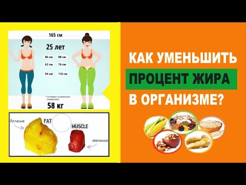 Как уменьшить процент жира в организме? 🤞 👌 🍔 Основы здорового образа жизни. Как рассчитать имт.