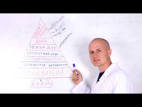 Основы правильного питания И ПИЩЕВАРЕНИЯ