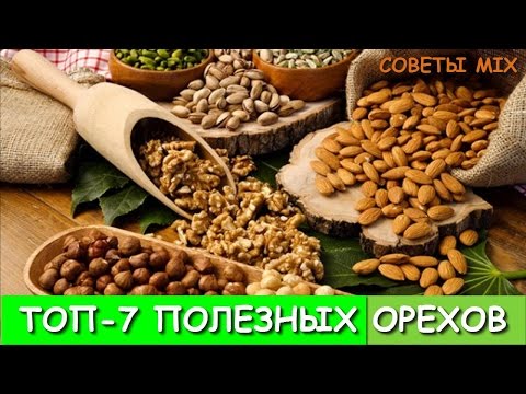 Топ 7 самых полезных орехов с пользой для здоровья