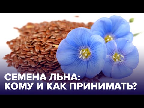 СЕМЕНА ЛЬНА: полезные свойства, как принимать