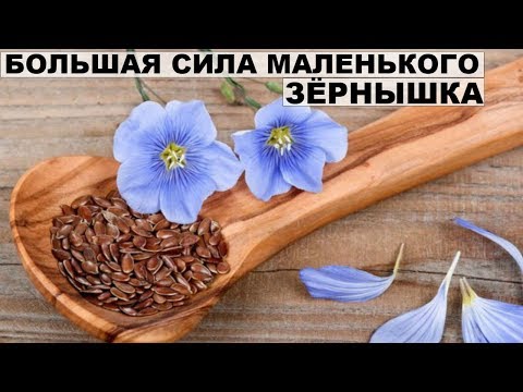 СЕМЕНА ЛЬНА ПОЛЬЗА и ВРЕД.Как принимать.Лечебные свойства.
