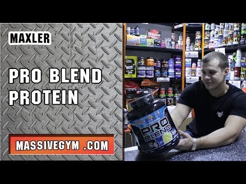 MG Обзор - Протеин Pro Blend (Maxler) - MassiveGym.com
