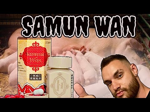 SAMUN WAN ( Самюн ван ) Как стать свиноматкой быстро и без усилий?