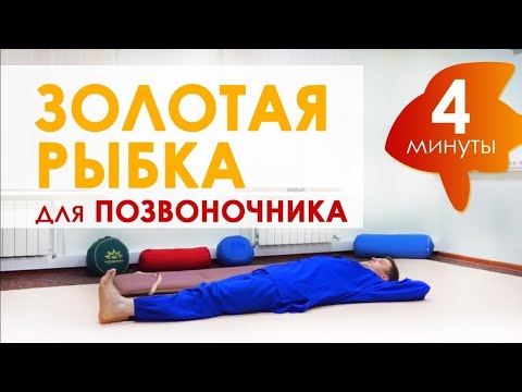 Упражнение Золотая рыбка Кацудзо Ниши // ЛФК для спины и поясницы // Сергей Виноградов