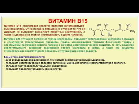 № 200. Органическая химия. Тема 28. Витамины. Часть 18. Витамин В15