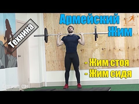 Армейский жим. Жим штанги стоя и жим штанги сидя