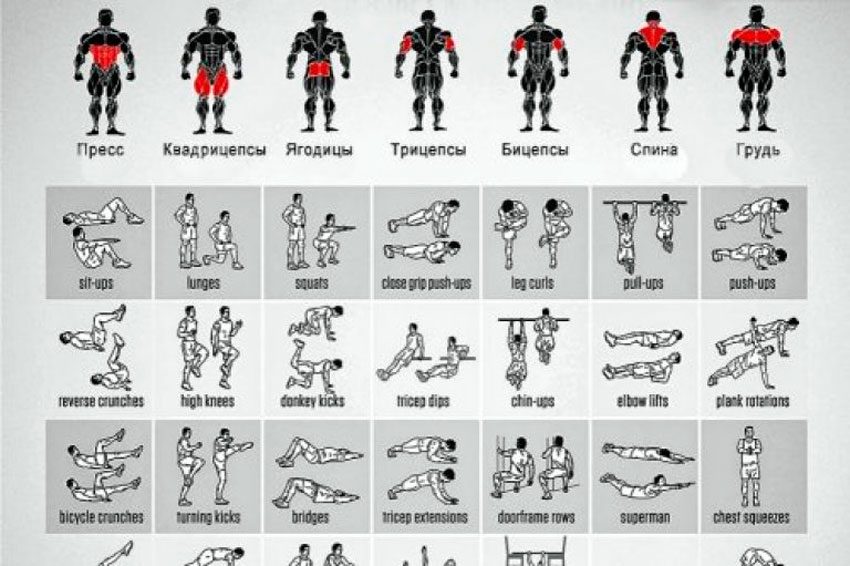 Комплекс упражнений на все группы мышц