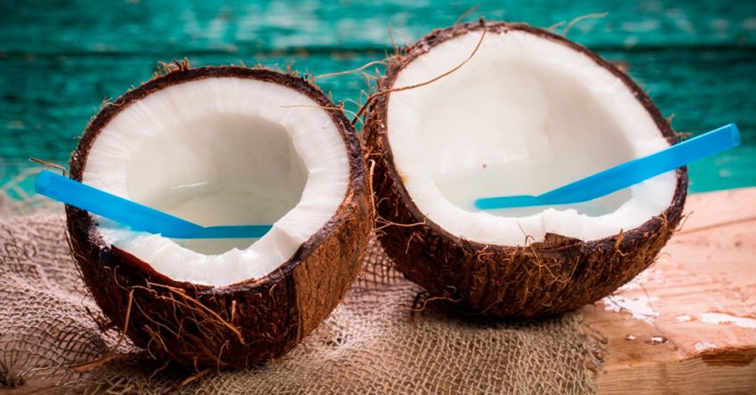 Какими свойствами обладает кокос?
