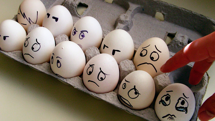Как правильно выбирать яйца