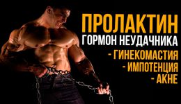 7 Facebook Pages To Follow About метилурацил бодибилдинг