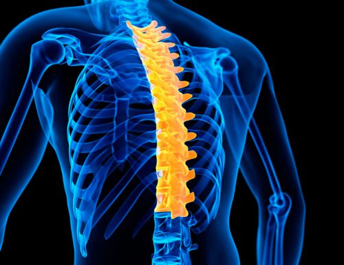 Защемление нерва в грудном отделе позвоночника