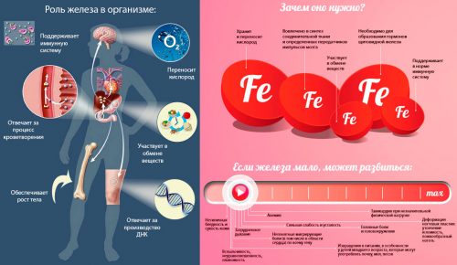 Микроэлемент железо картинки