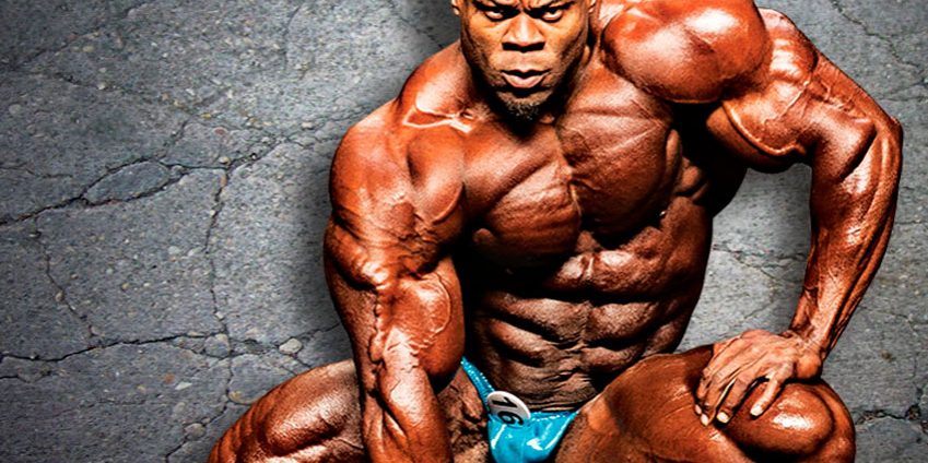 ���� SP Labs ��������: ����.