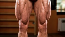 Мышцы ног человека