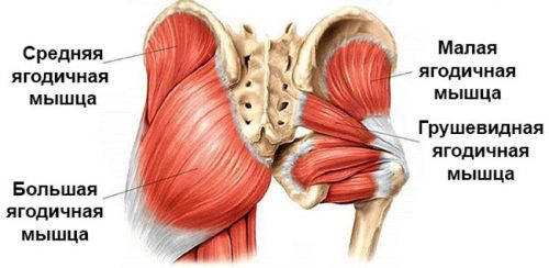 Bayer Schering � �������� ���������: ����.