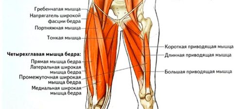 ������ Cjc1295 ������: ����.